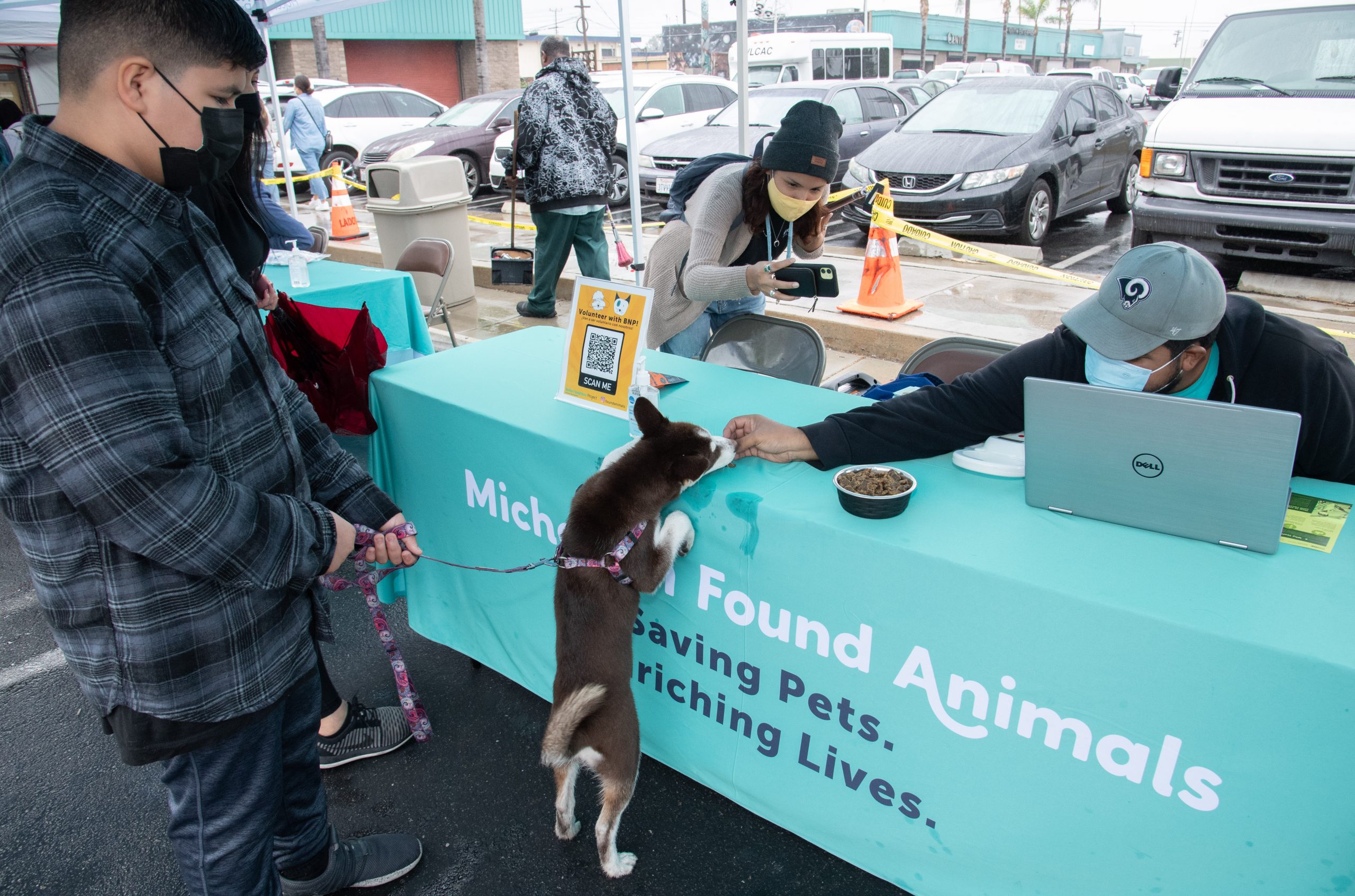 free-pet-food-and-services-provided-to-watts-residents