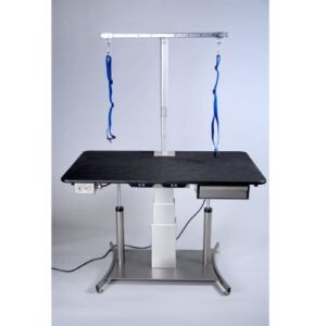 Professional pet grooming table