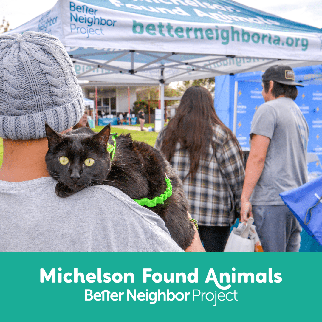 2,000+ SoCal Families Received Free Services for their Pets in 2022 Thanks to the Better Neighbor Project