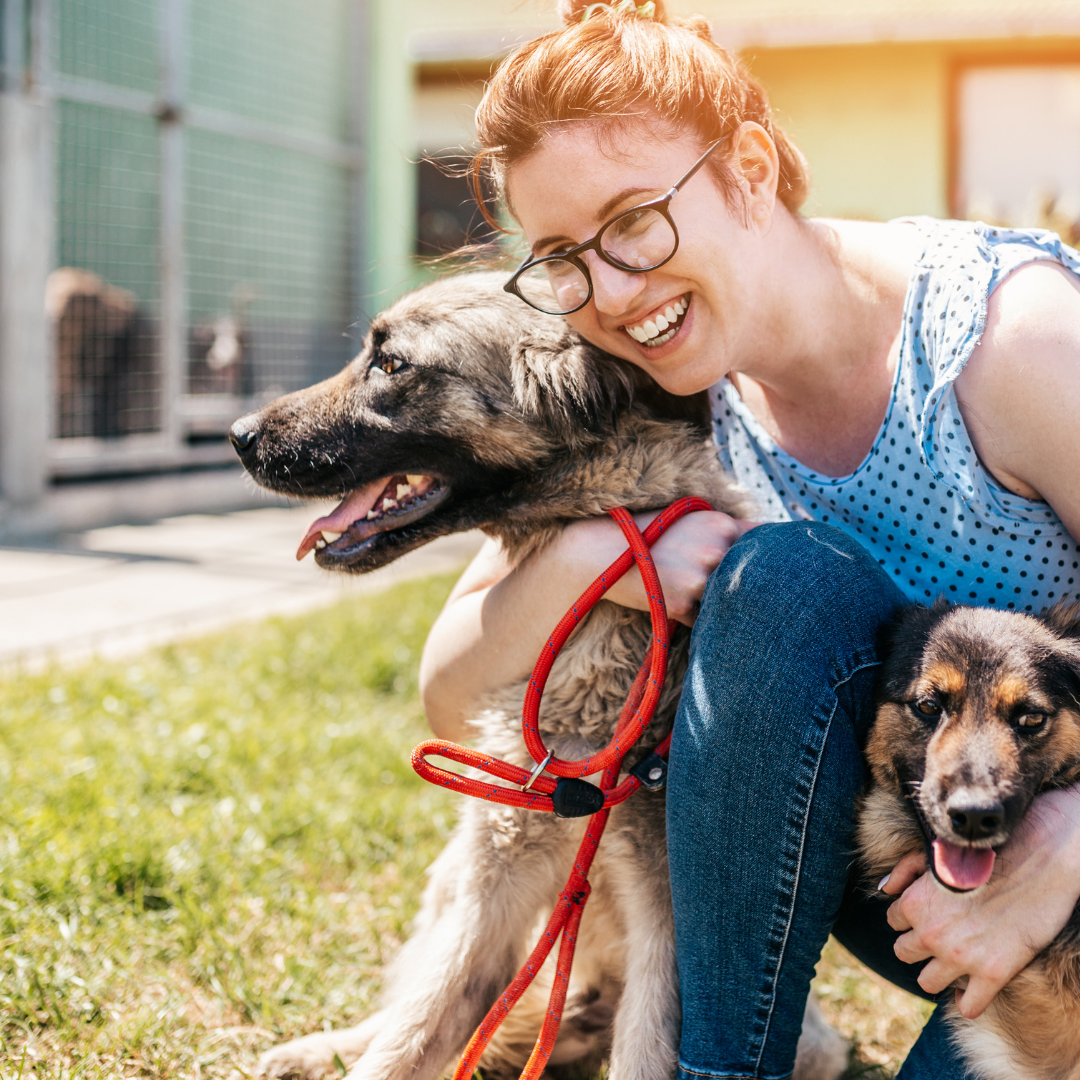 California Animal Welfare Funders Collaborative  awards nearly $300,000 in grants to animal shelters across the state