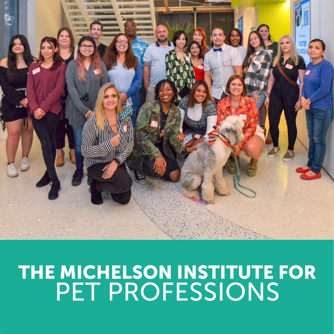 mipp-paves-the-way-for-pet-groomer-training