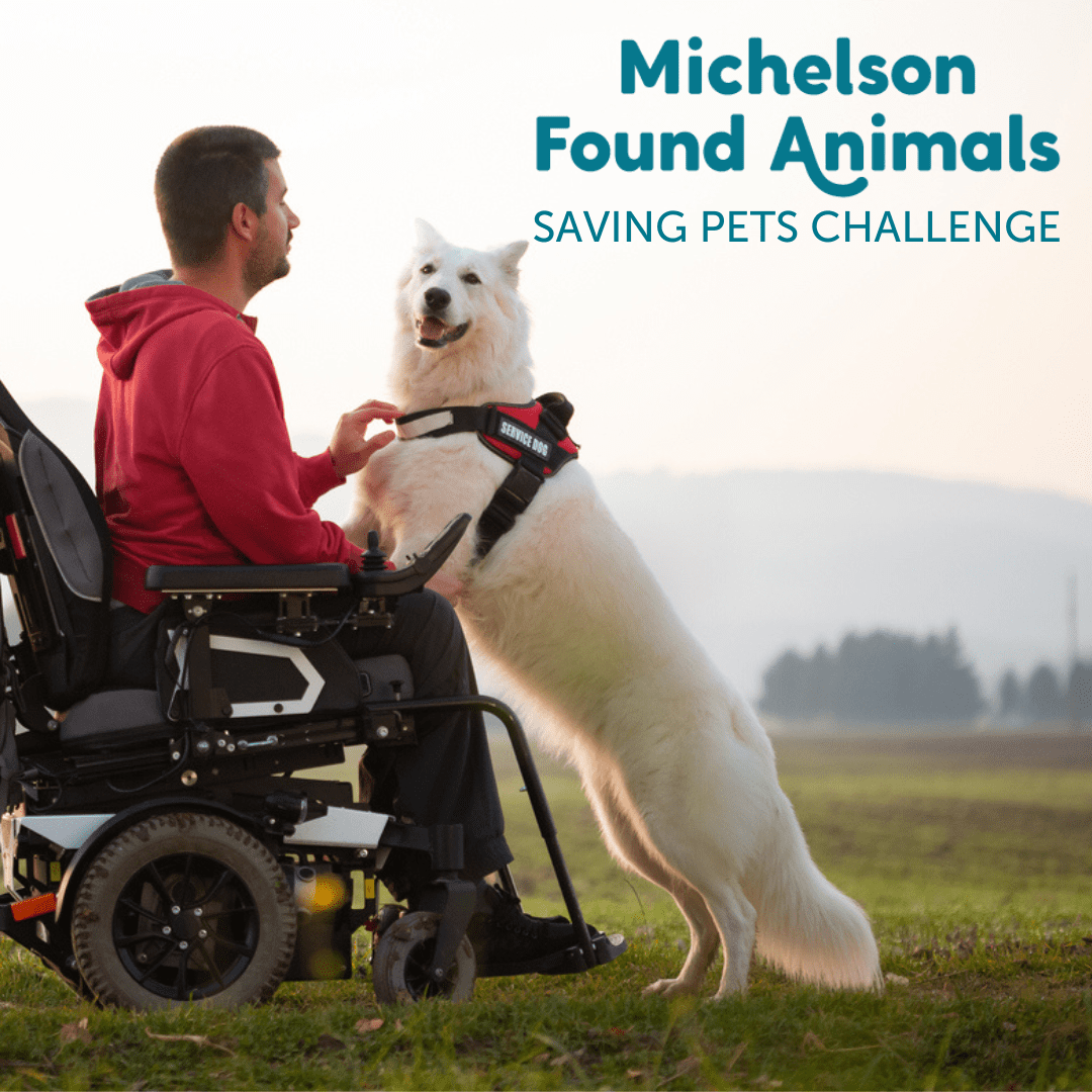 The Saving Pets Challenge Is Back!