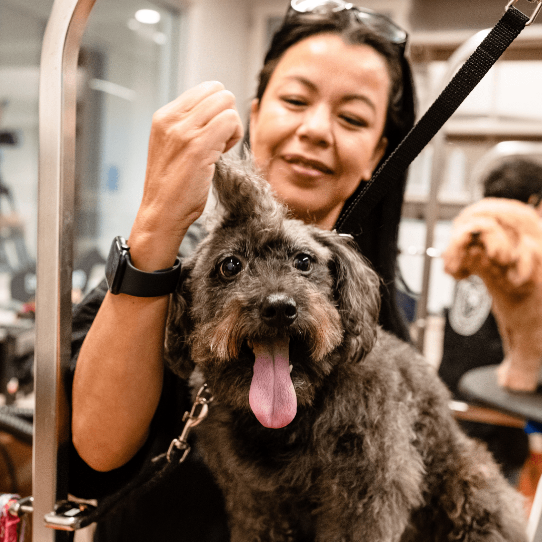 MIPP is Creating New Career Paths for Individuals in Pet Care