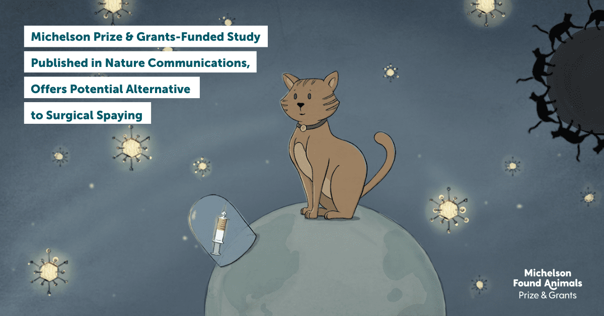 Michelson Prize & Grants-Funded Study Published in Nature Communications, Offers Potential Alternative to Surgical Spaying