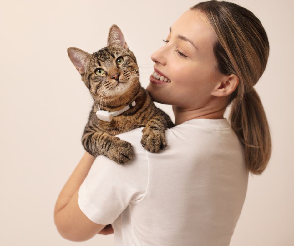 Meet Moggie. The Ultimate Health and Well being Companion for Our