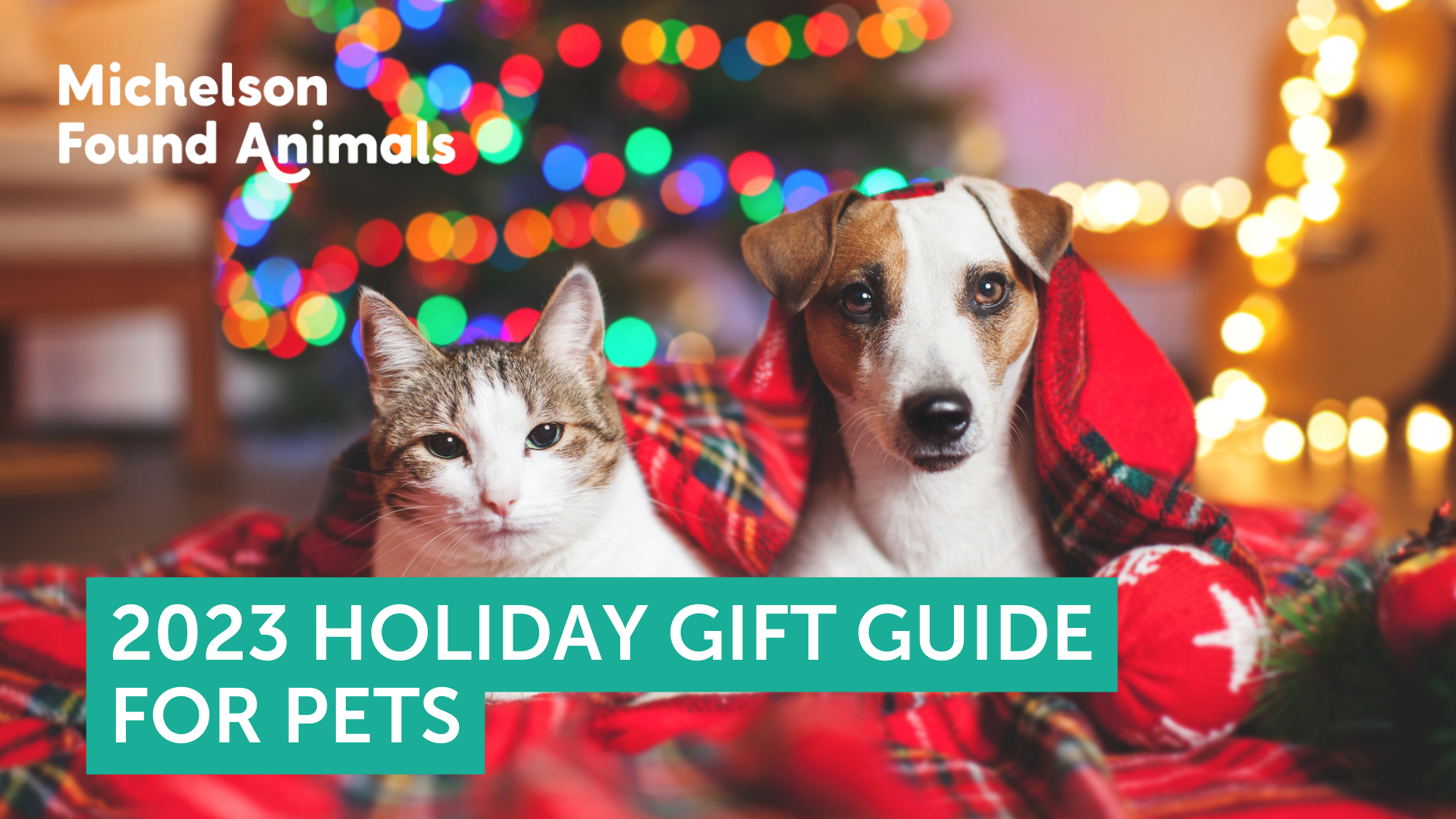 12 Holiday Gifts for Good Dogs