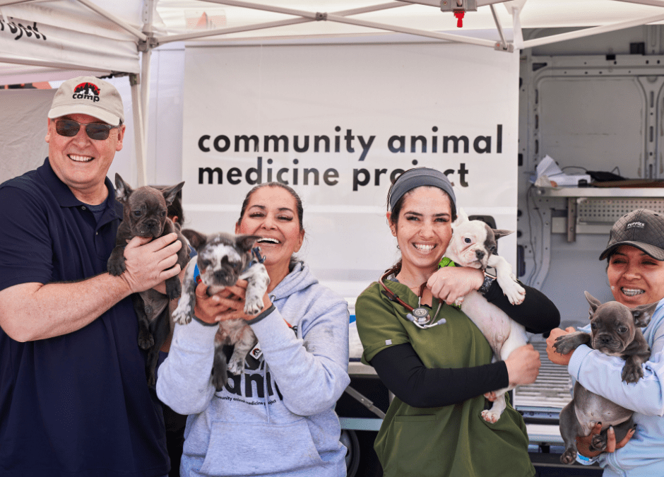 Celebrating Vet Tech Week: Honoring the Unsung Heroes of Animal Care